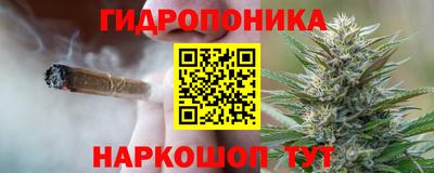 a pvp Камышлов