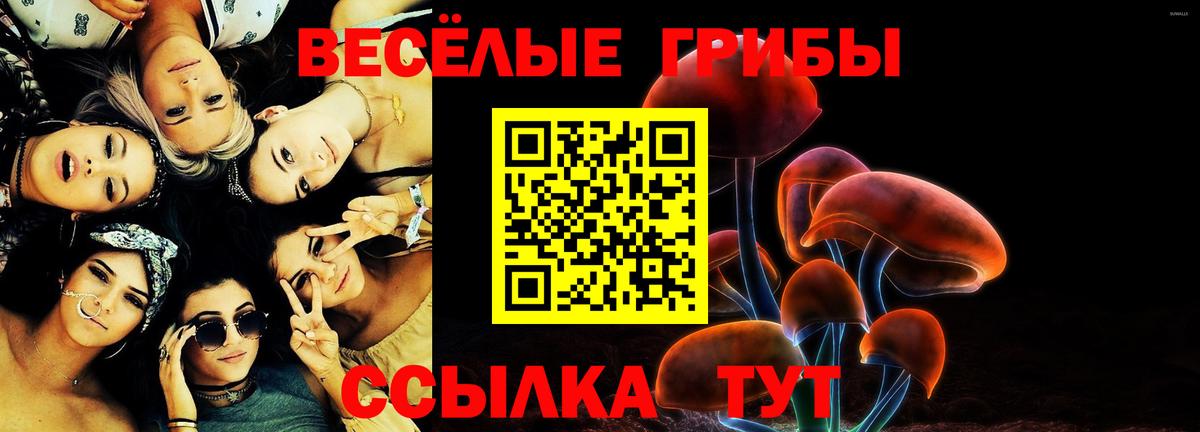 наркотики  Вход с VPN  Кострома  Псилоцибиновые грибы Psilocybe 